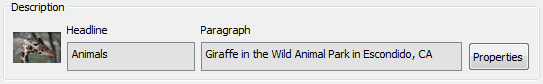 Image info : flash component image sliding
